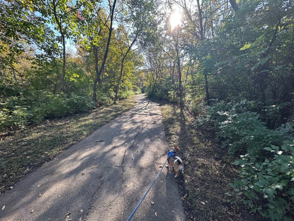 A flat, shady paved trail through the woods, with Banner sniffing along the edge.